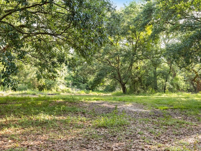 5714 Masters Rd, Manvel, TX 77578 - photo 27