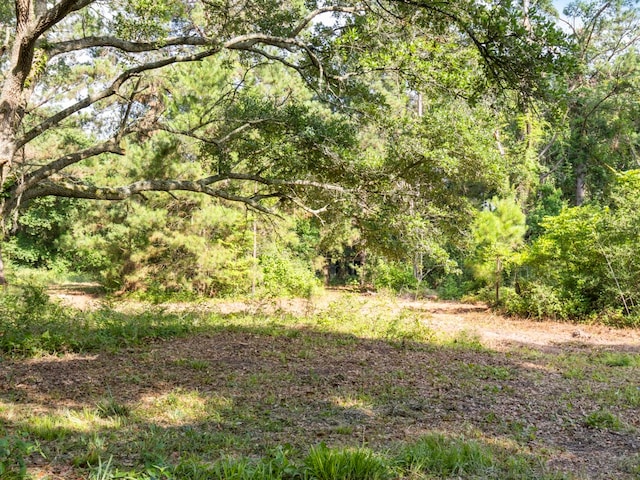 5714 Masters Rd, Manvel, TX 77578 - photo 29