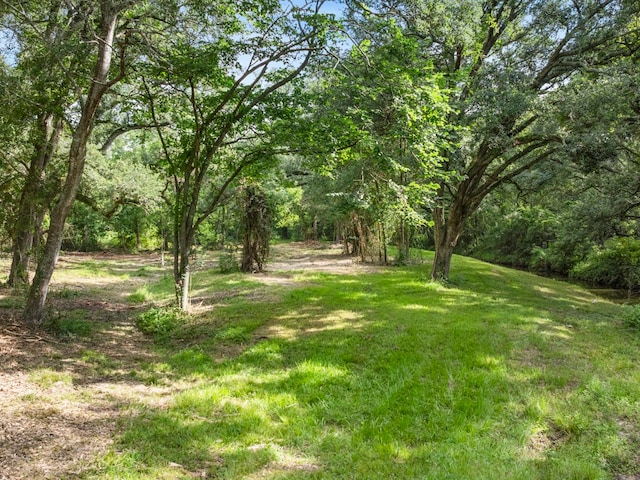 5714 Masters Rd, Manvel, TX 77578 - photo 8