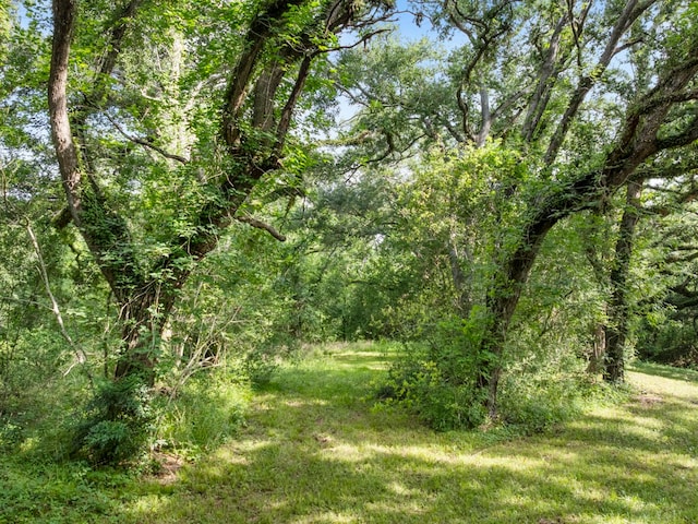5714 Masters Rd, Manvel, TX 77578 - photo 13