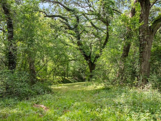 5714 Masters Rd, Manvel, TX 77578 - photo 14