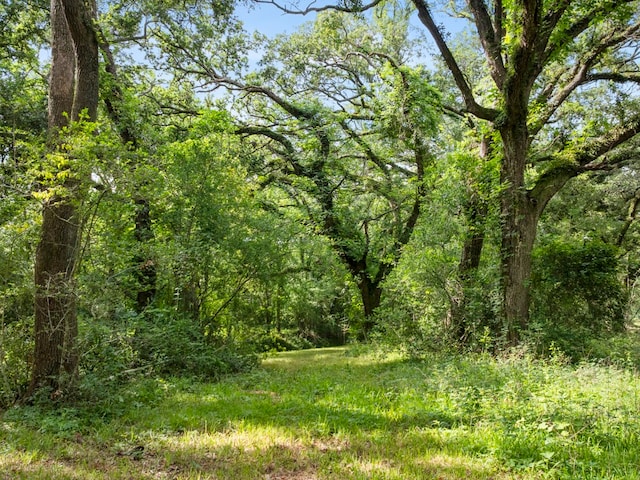 5714 Masters Rd, Manvel, TX 77578 - photo 15