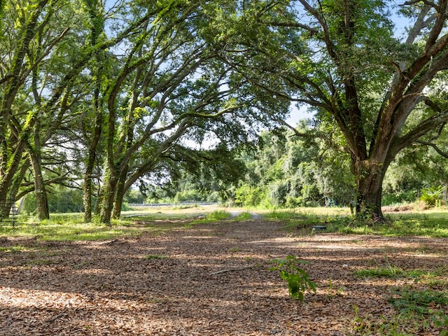 5714 Masters Rd, Manvel, TX 77578 - photo 19