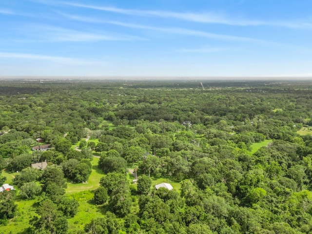 5714 Masters Rd, Manvel, TX 77578 - photo 39