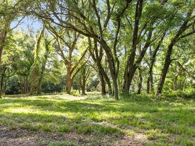 5714 Masters Rd, Manvel, TX 77578 - photo 30