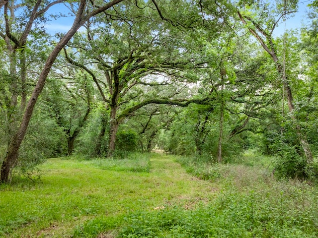 5714 Masters Rd, Manvel, TX 77578 - photo 32