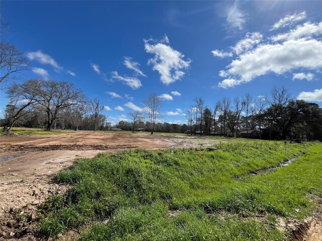 805 S Winfree St, Dayton, TX 77535 - photo 3