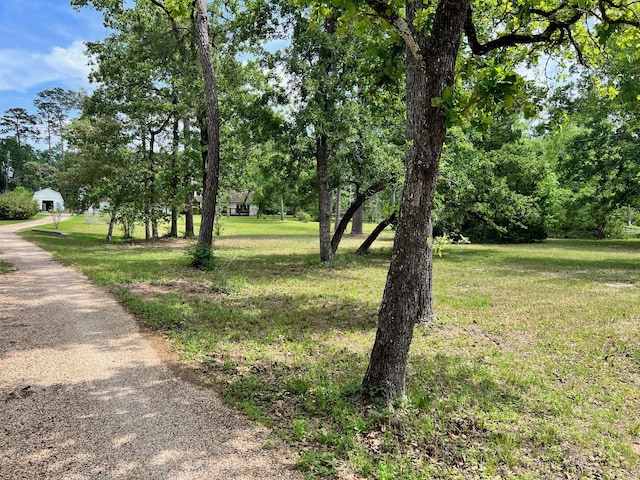 33410 Cripple Creek Dr, Pinehurst, TX 77362 - view of green lawn