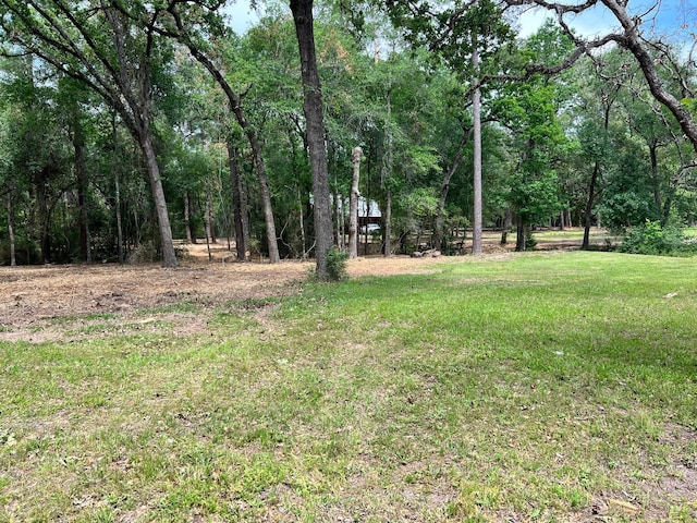 33410 Cripple Creek Dr, Pinehurst, TX 77362 - view of grassy yard