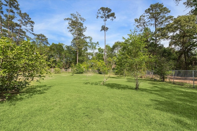 33410 Cripple Creek Dr, Pinehurst, TX 77362 - view of yard