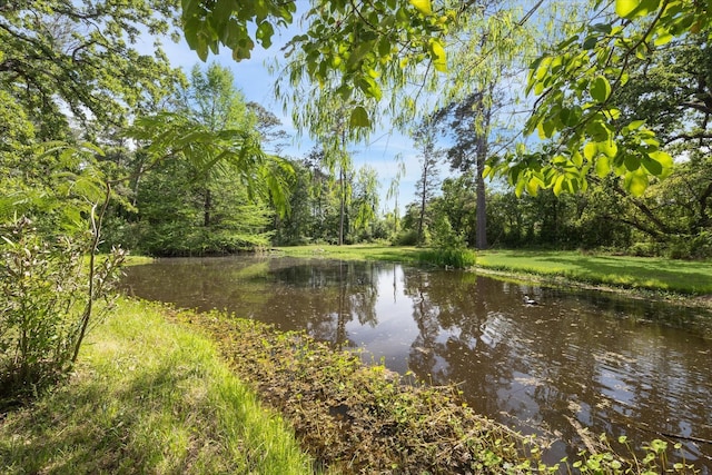 33410 Cripple Creek Dr, Pinehurst, TX 77362 - water view with a heavily wooded area