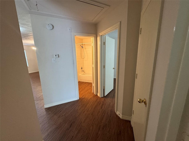 24126 Stargazer Pt, Spring, TX 77373 - photo 13