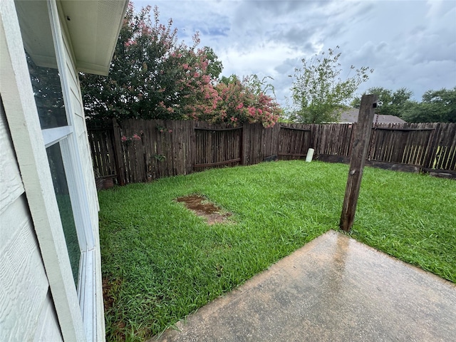 24126 Stargazer Pt, Spring, TX 77373 - photo 37