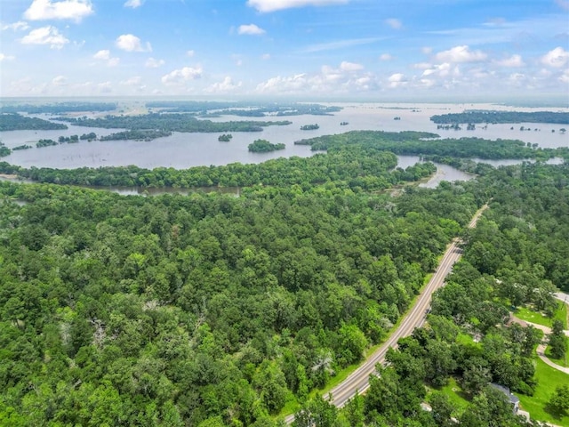 95 Sunrise Loop, Huntsville, TX 77320 - photo 6