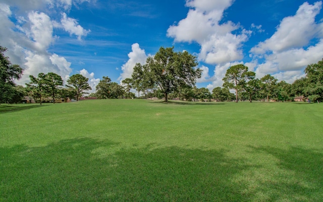 806 Country Place Blvd, Pearland, TX 77584 - photo 4