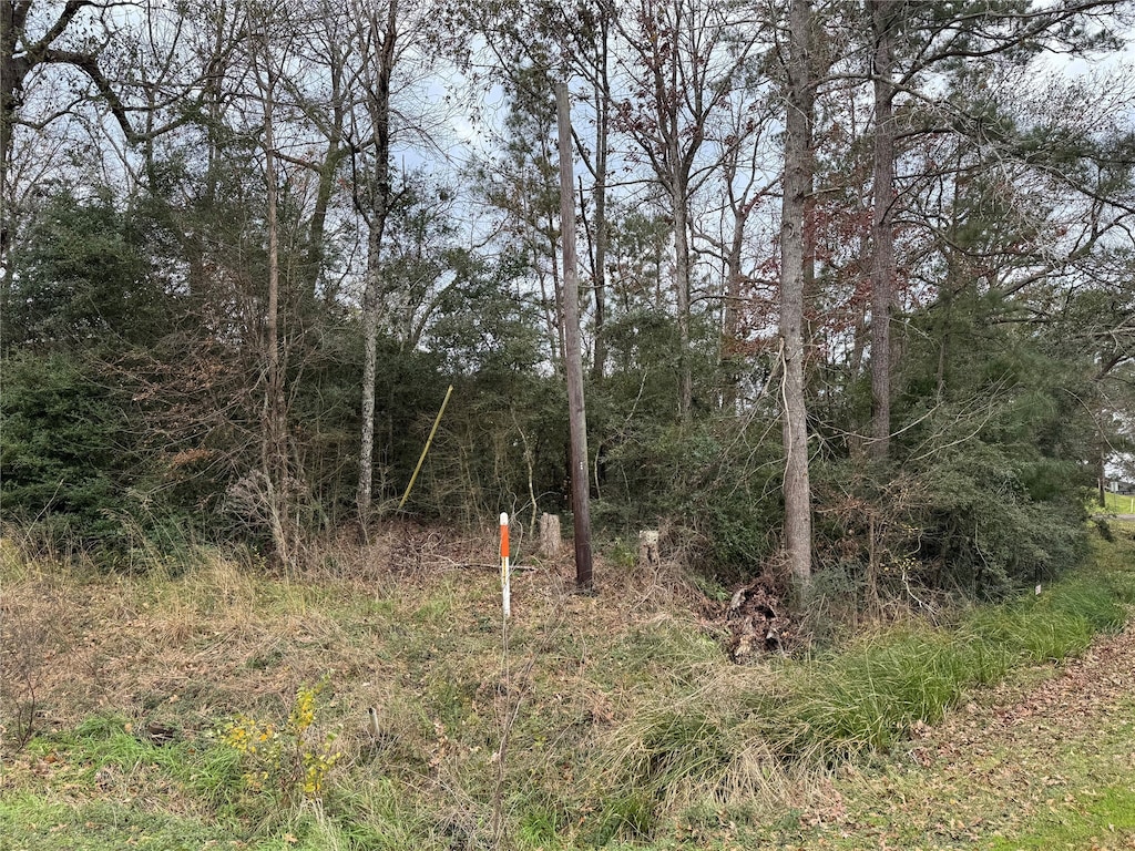 LOT27 Dove Is, Livingston, TX 77351 - photo 2