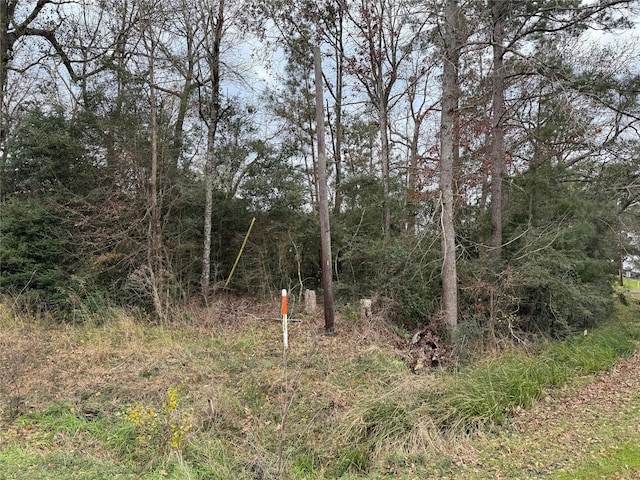 LOT27 Dove Is, Livingston, TX 77351 - photo 2