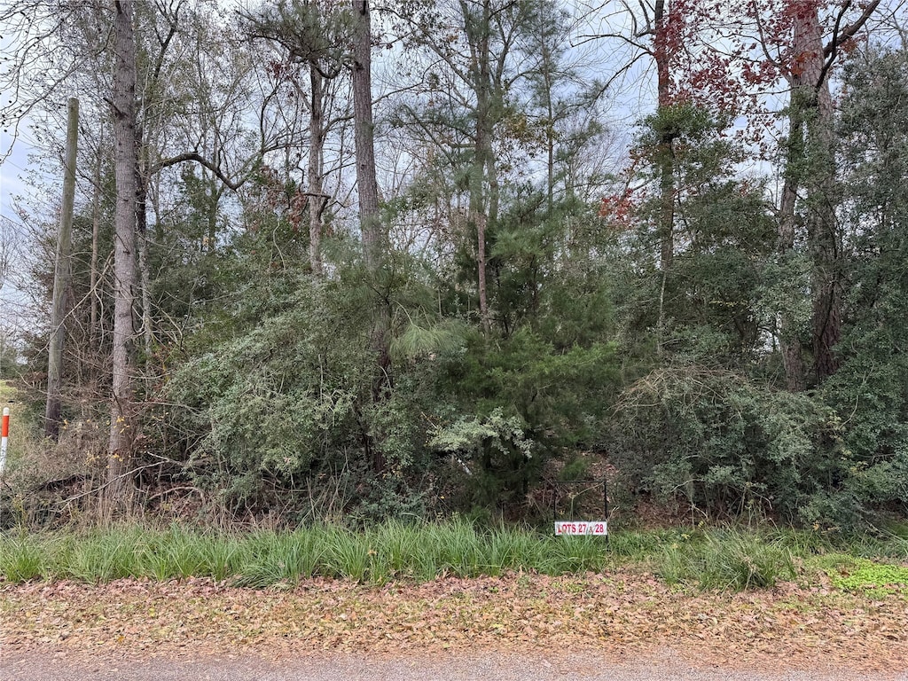 LOT27 Dove Is, Livingston, TX 77351 - photo 1