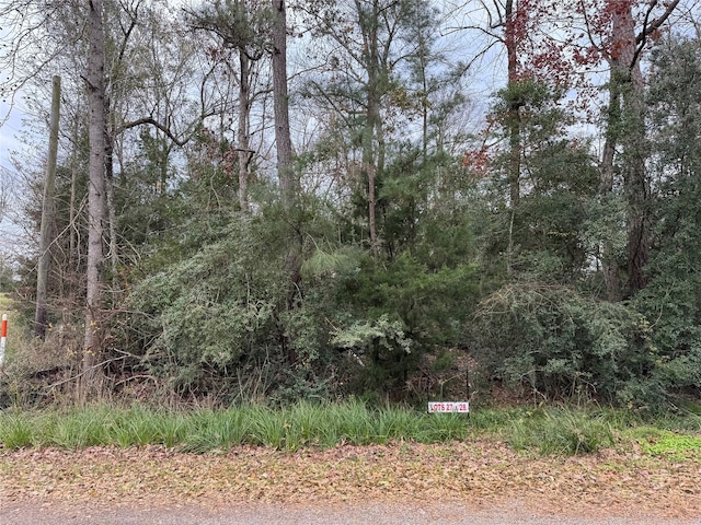 LOT27 Dove Is, Livingston, TX 77351 - photo 1
