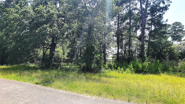 TBD Schooner Dr, Trinity, TX 75862 - photo 3