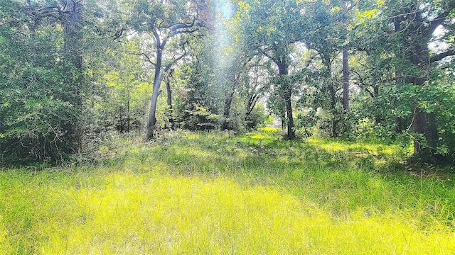 TBD Schooner Dr, Trinity, TX 75862 - photo 4