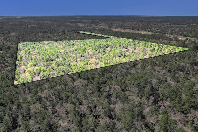 TBD Cr 302, Plantersville, TX 77363