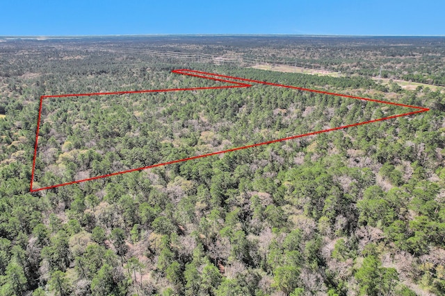 TBD Cr 302, Plantersville, TX 77363