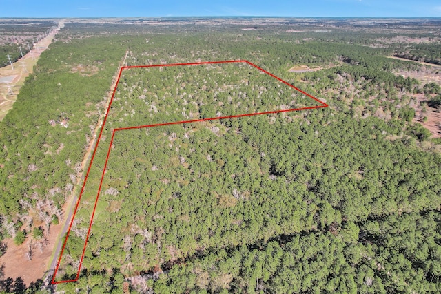 TBD Cr 302, Plantersville, TX 77363