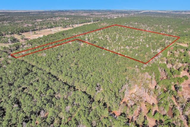 TBD Cr 302, Plantersville, TX 77363