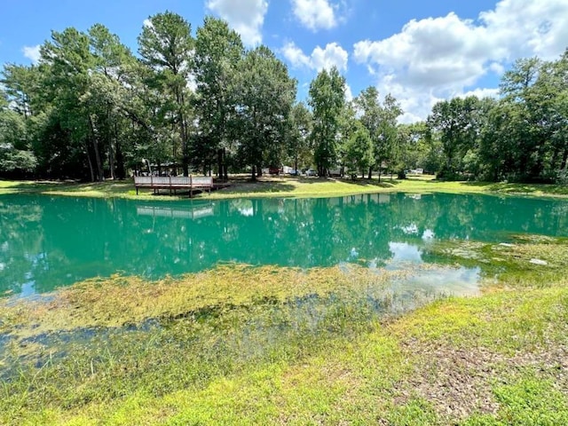 25920 Grand Pnes, Magnolia, TX 77355