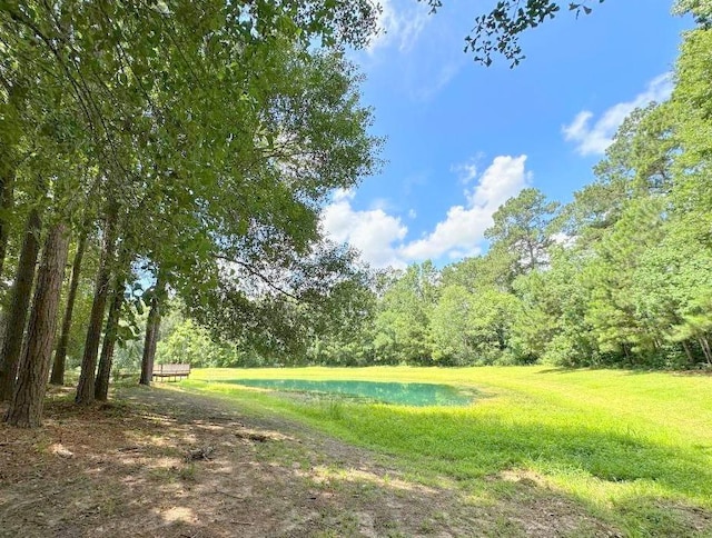 25920 Grand Pnes, Magnolia, TX 77355