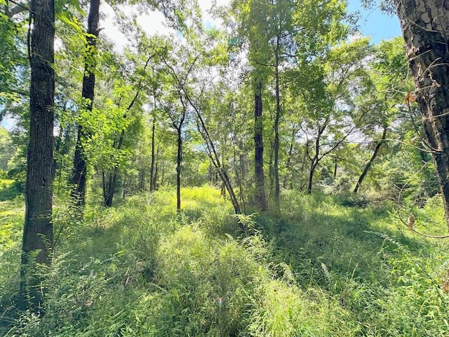 25920 Grand Pnes, Magnolia, TX 77355
