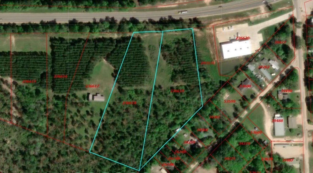 11086 US Highway 190 E, Livingston, TX 77351 - photo 1