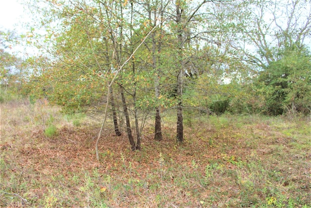 000 S State Highway 19 S, Crockett, TX 75835