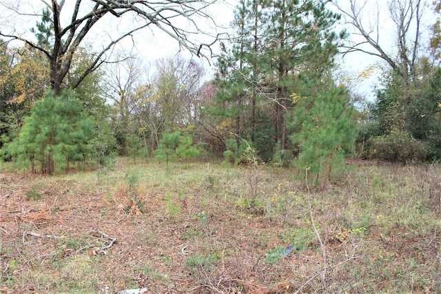 000 S State Highway 19 S, Crockett, TX 75835
