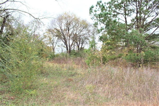 000 S State Highway 19 S, Crockett, TX 75835