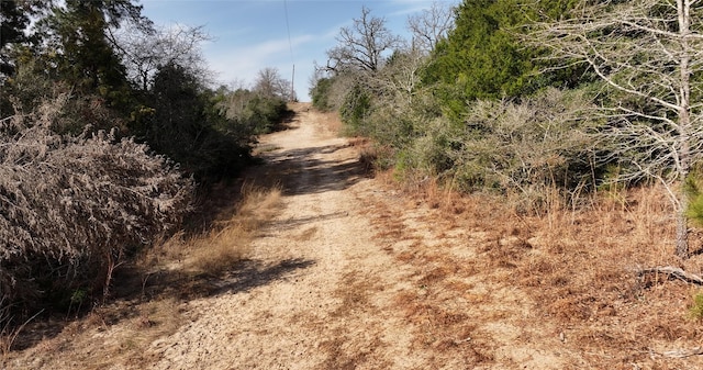 TBD County Road 277, Buffalo, TX 75831