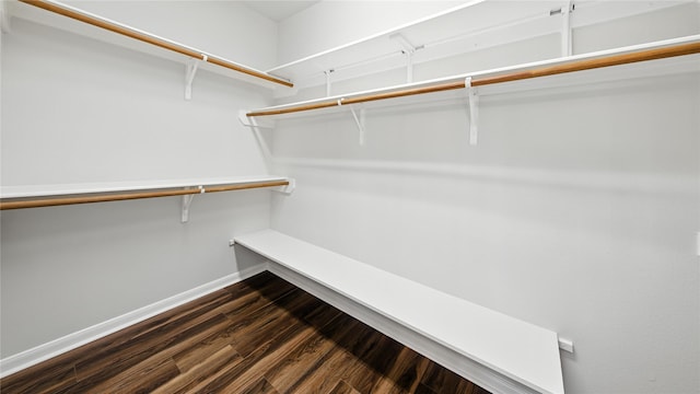 3119 Emory Oak Ln, Pearland, TX 77584 - walk in closet with dark wood-style flooring
