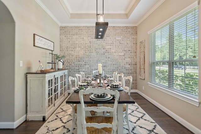 115 Dedication Trl, Huntsville, TX 77340 - dining area featuring a tray ceiling, dark wood finished floors, and ornamental molding