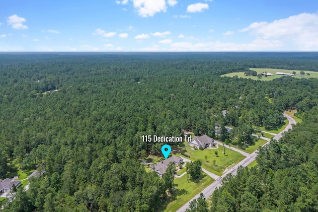 115 Dedication Trl, Huntsville, TX 77340 - aerial overview of property's location with a forest