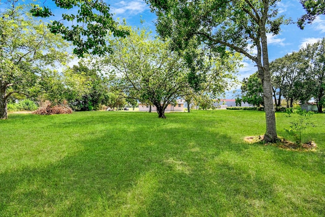 1030 San Felipe Rd, Sealy, TX 77474 - view of green lawn