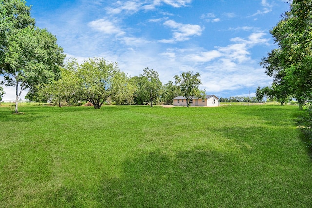 1030 San Felipe Rd, Sealy, TX 77474 - view of green lawn
