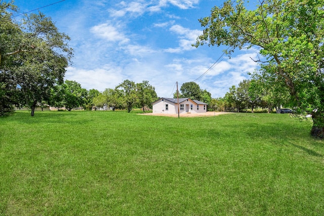 1030 San Felipe Rd, Sealy, TX 77474 - view of green lawn