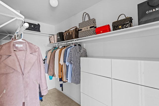 4814 Kirkwall Dr, Sugar Land, TX 77479 - walk in closet featuring carpet floors