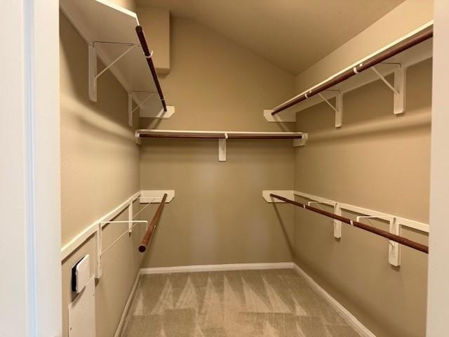 19522 Brighton Brook Ln, Richmond, TX 77407 - walk in closet with carpet floors