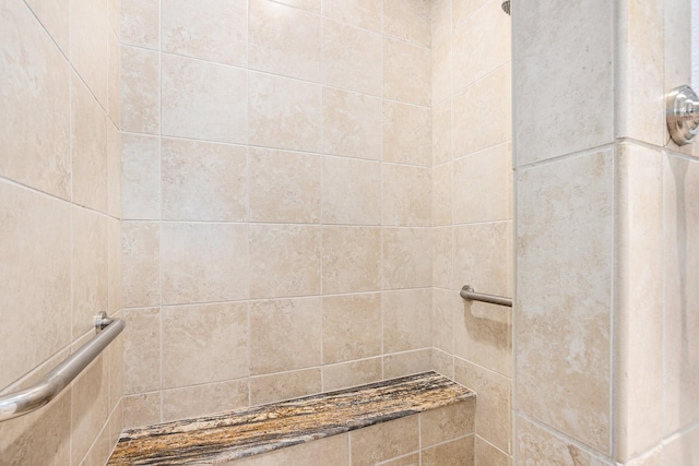 4606 Silhouette Dr, Katy, TX 77493 - bathroom with tiled shower