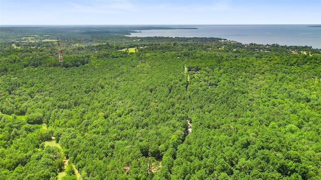 268 Cedar Valley Rd, Coldspring, TX 77331 - photo 10