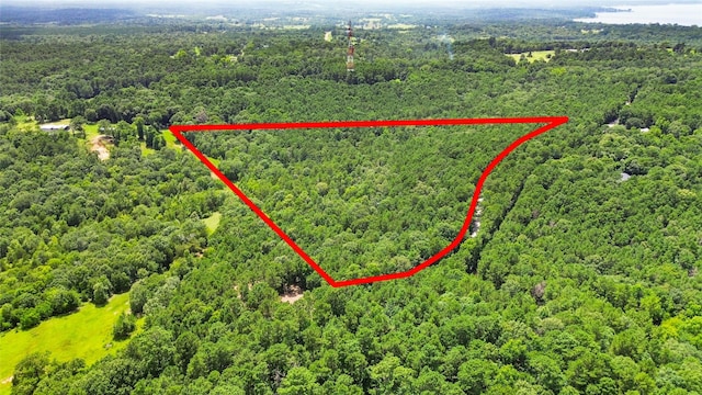 268 Cedar Valley Rd, Coldspring, TX 77331 - photo 2