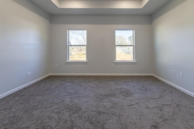 175 Deep Woods Ln, Livingston, TX 77351 - empty room with dark carpet and a tray ceiling