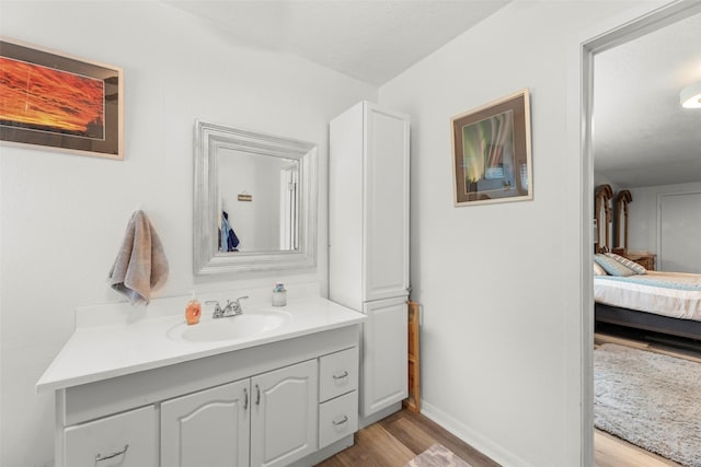 703 Pecan Valley Dr, Wharton, TX 77488 - bathroom with vanity, wood finished floors, and connected bathroom